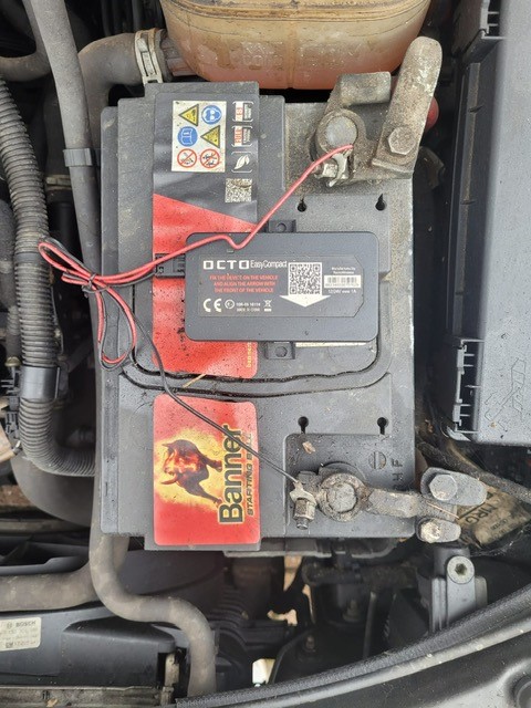 Box Image 1.jpg